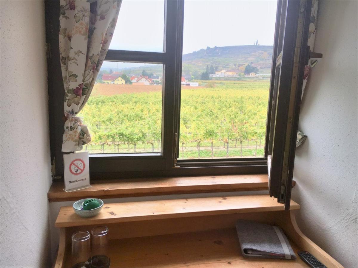 Landhaus Weinblick Rohrendorf bei Krems المظهر الخارجي الصورة